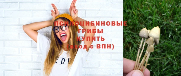Альфа ПВП Арсеньев